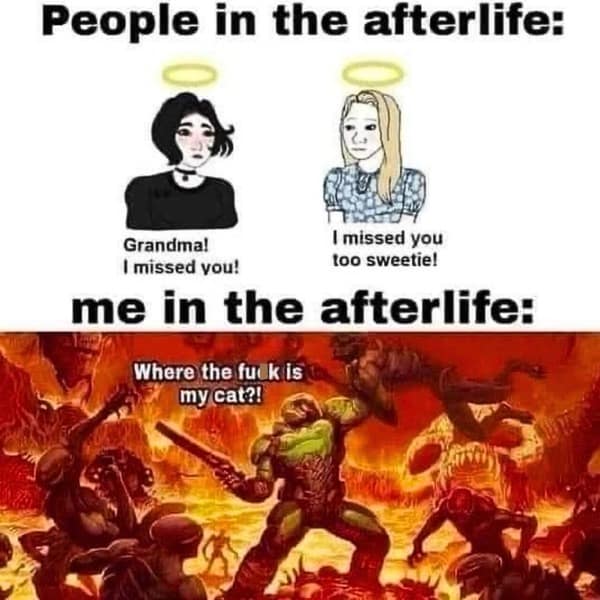 A funny meme that compares a normal person's afterlife to the user's afterlife, where they are depicted as the Doomslayer fighting through hell to find their cat.
