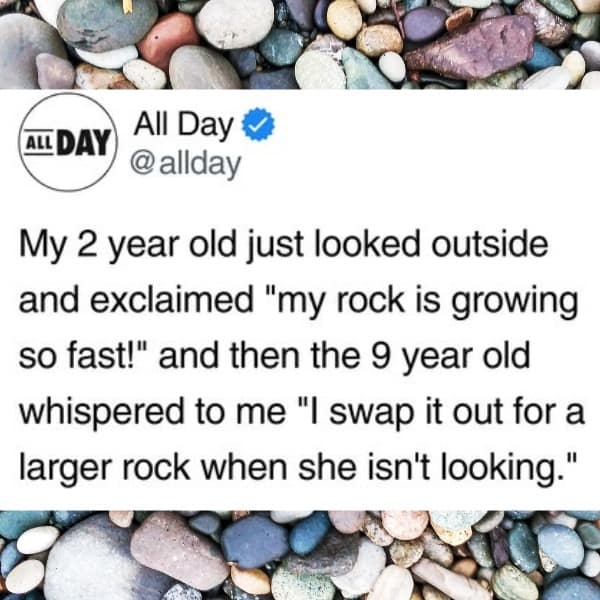 A wholesome and heartwarming tweet about a 9-year-old boy who secretly replaces his little sister's beloved pet rock with a bigger one so she thinks it's growing.