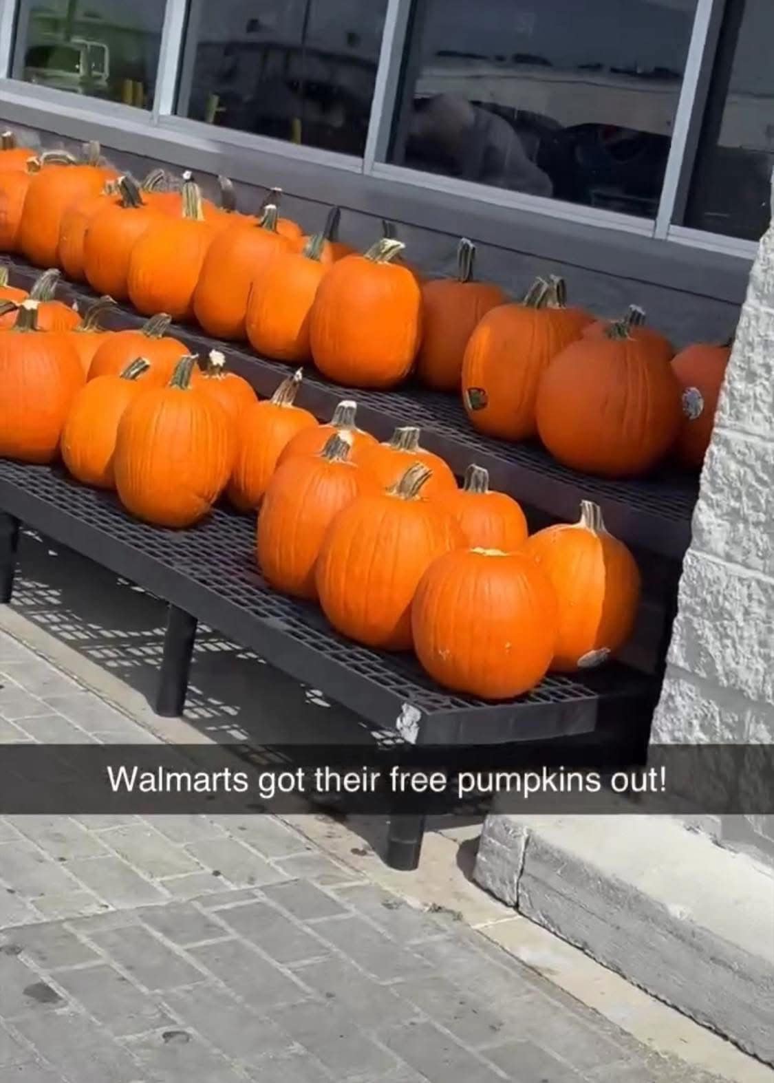 A funny meme jokingly suggesting that the pumpkins for sale outside of a Walmart are actually free.