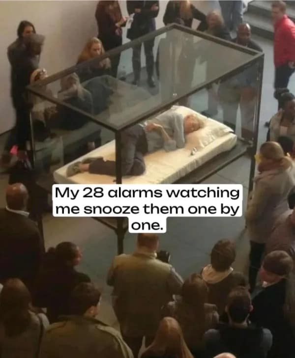 A meme of Tilda Swinton sleeping in a glass box at an art gallery, representing someone ignoring their 28 alarms.