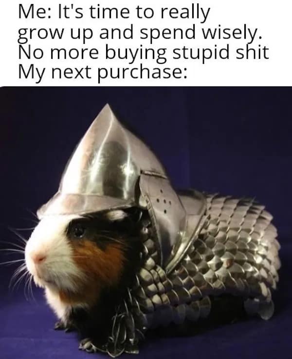A relatable meme about trying to spend wisely but ending up buying armor for a guinea pig.