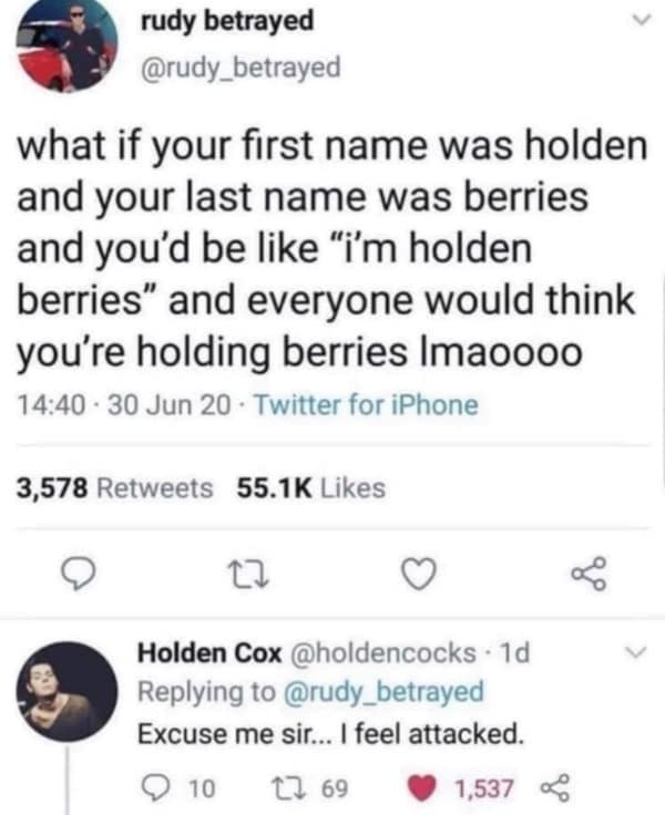 A funny meme of a viral tweet about the name "Holden Berries" getting a perfect reply from "Holden Cox."