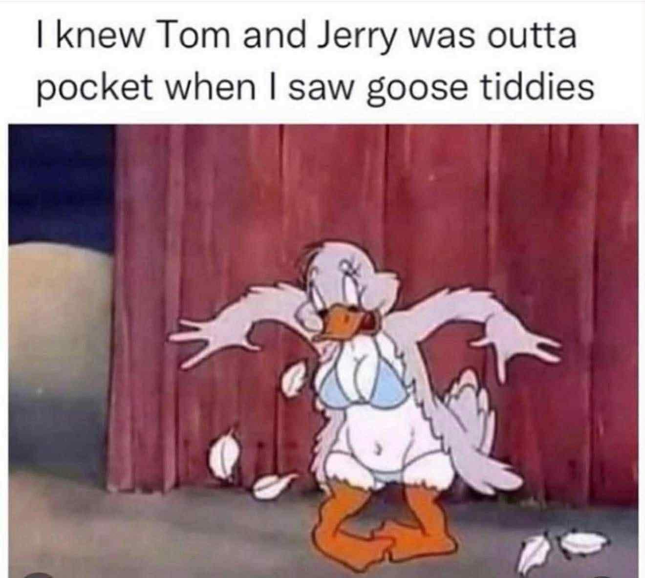 A funny meme pointing out that the old "Tom and Jerry" cartoons had a very strange scene with goose breasts.