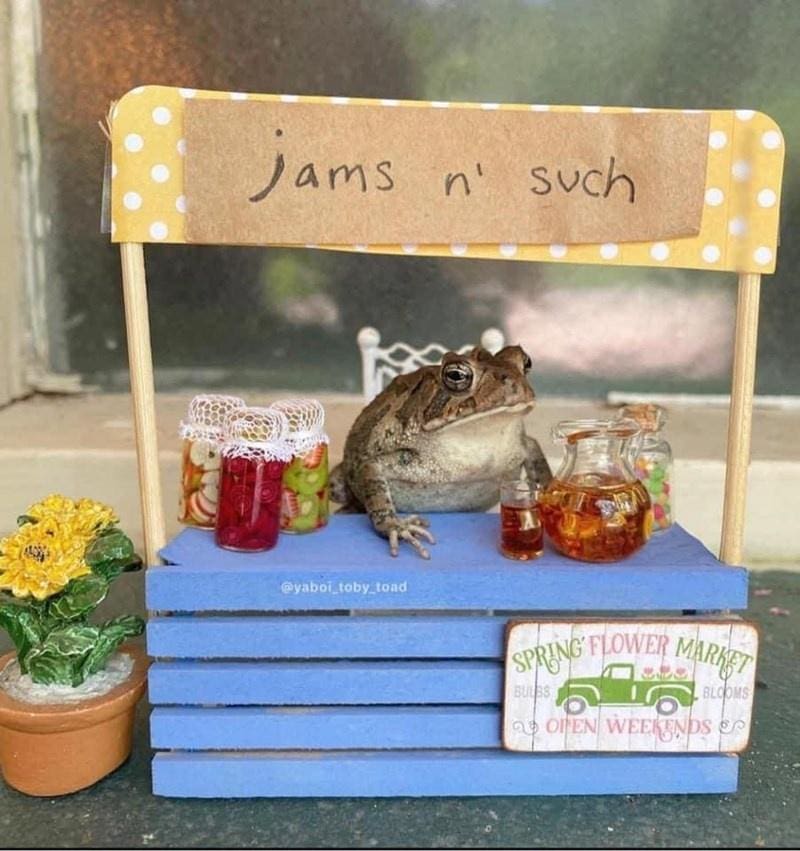 A wholesome and very cute picture of a toad sitting at his own tiny, handmade farm stand selling jars of jam.