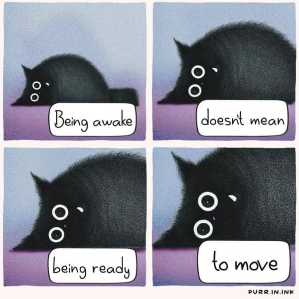 A funny and relatable four-panel comic of a black cat that is awake but not ready to move.