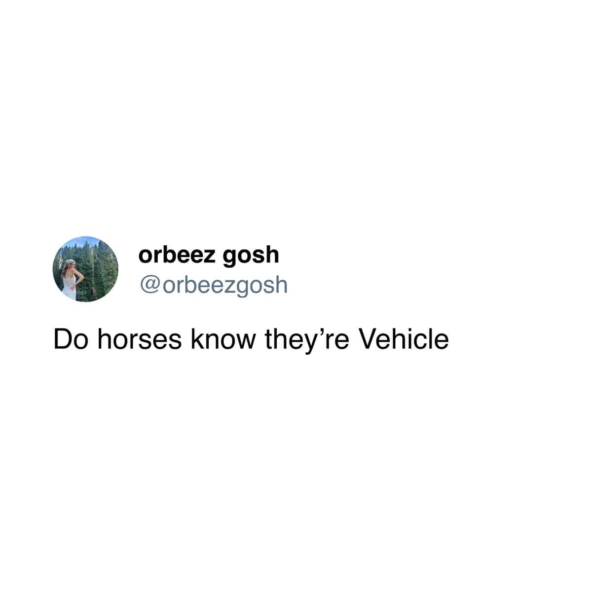 A funny and very strange philosophical tweet from a user who is asking the important question, "Do horses know they're Vehicle".