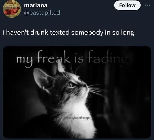 A funny tweet about not drunk texting anymore, paired with a dramatic cat photo saying, "my freak is fading."