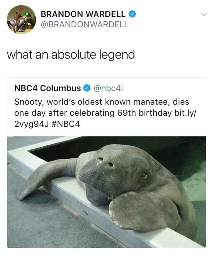 A user on social media makes a hilarious and slightly terrifying comparison about Khloe Kardashian's famously long and sharp nails. It's one of the most specific celebrity roast funny memes you'll ever see.