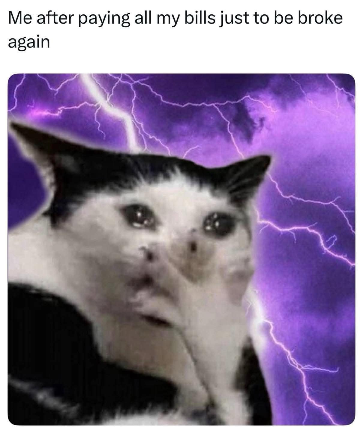 A funny and relatable meme with a crying cat about being broke immediately after paying all your bills.