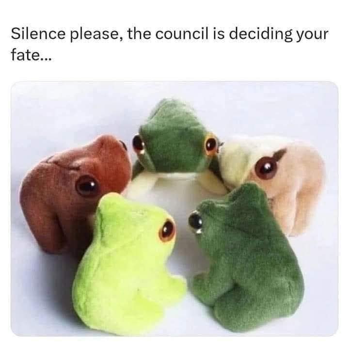 A funny meme of five weird and cute frog plushies sitting in a circle, acting as a council deciding your fate.