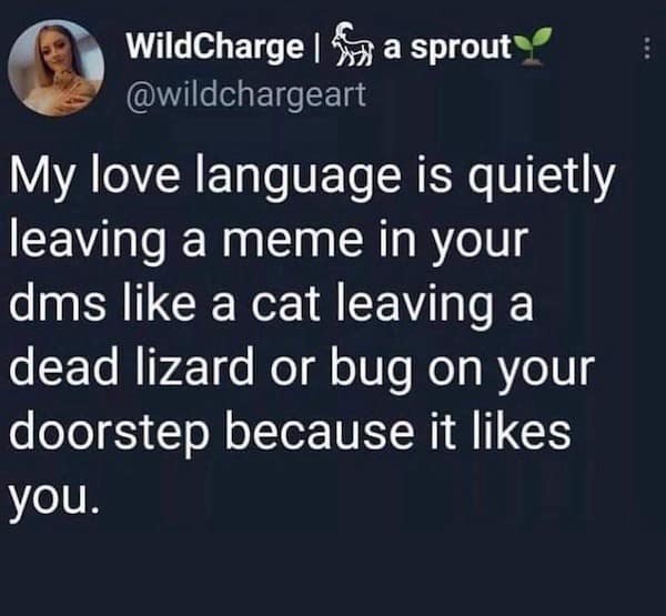 A relatable and funny tweet that perfectly compares the modern love language of sending memes to a cat bringing you a dead lizard as a gift.