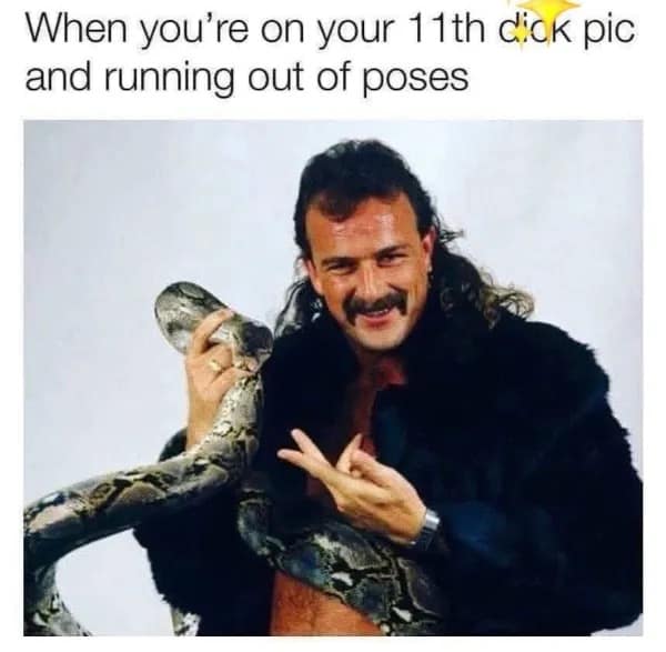 A meme of wrestler Jake "The Snake" Roberts posing with a large snake, used as a joke about running out of new photo poses.