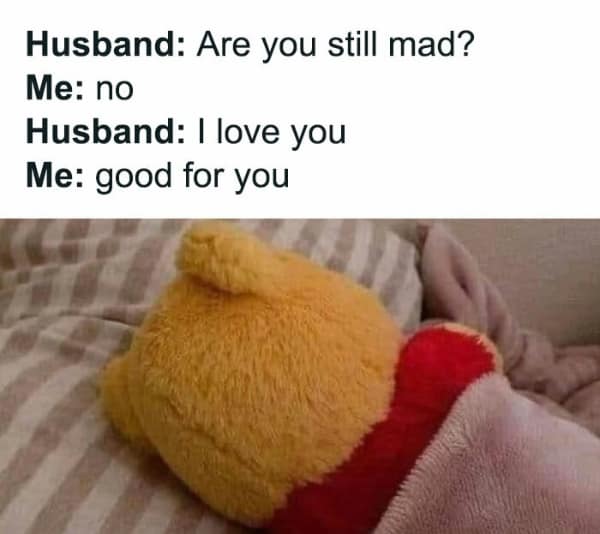 A funny meme about parenting using Winnie the Pooh to show a passive-aggressive response to a husband.