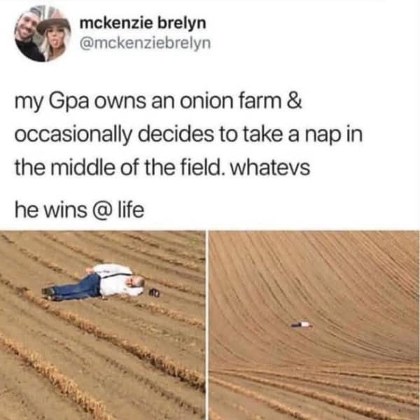 A funny and very wholesome tweet from a user who has shared two photos of her grandfather, who owns an onion farm and is taking a nap in the middle of his giant field.