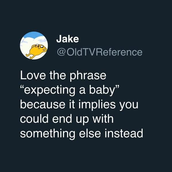 A funny tweet from the account @OldTVReference that points out that the common phrase "expecting a baby" hilariously implies that you could end up with something else instead of a baby.