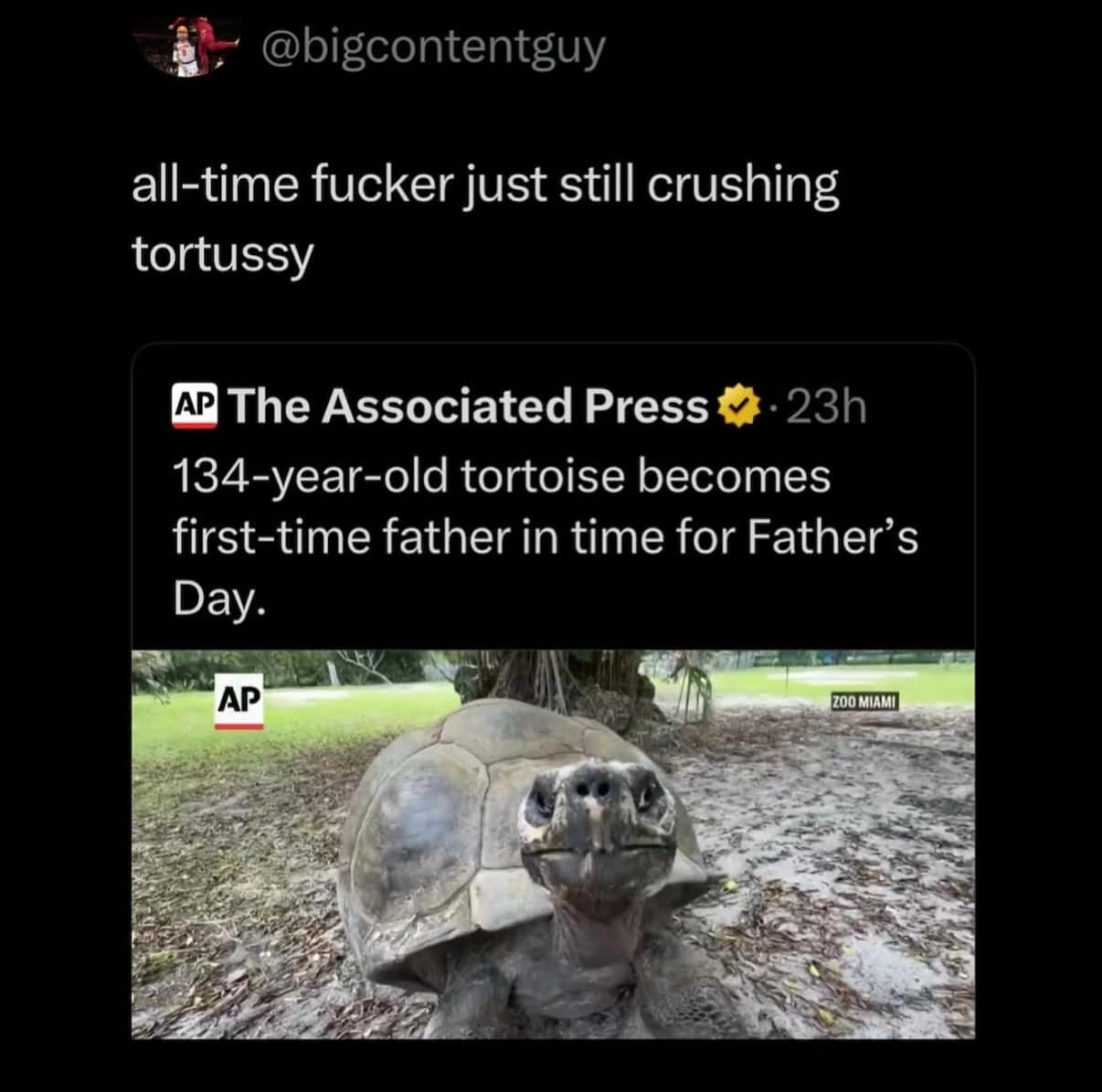 A funny meme with a crude comment reacting to a news story about a 134-year-old tortoise becoming a father.