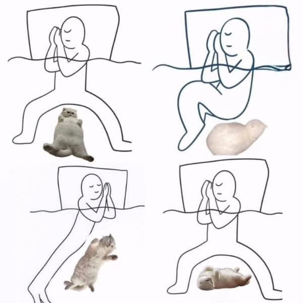 A funny and cute cat meme showing how cats will always find a way to sleep in your bed.