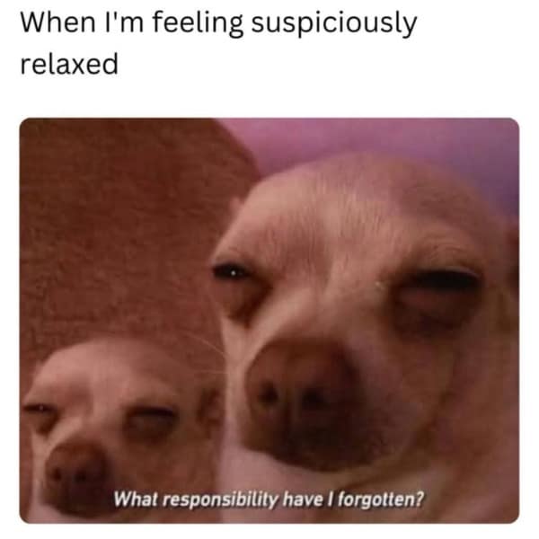 A funny pic of two suspicious chihuahuas for when you feel too relaxed and forget something important.