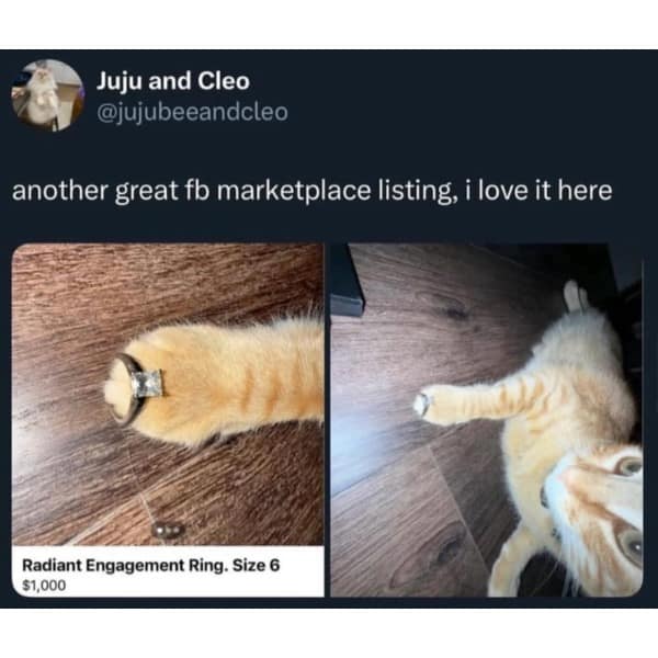 A hilarious Facebook Marketplace listing for an engagement ring that is being expertly modeled on the paw of an orange cat.