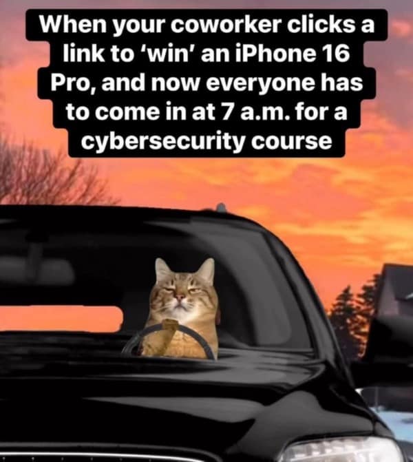 A funny meme of a cat looking smug while driving a car, representing the feeling of being punished for a coworker's cybersecurity mistake.