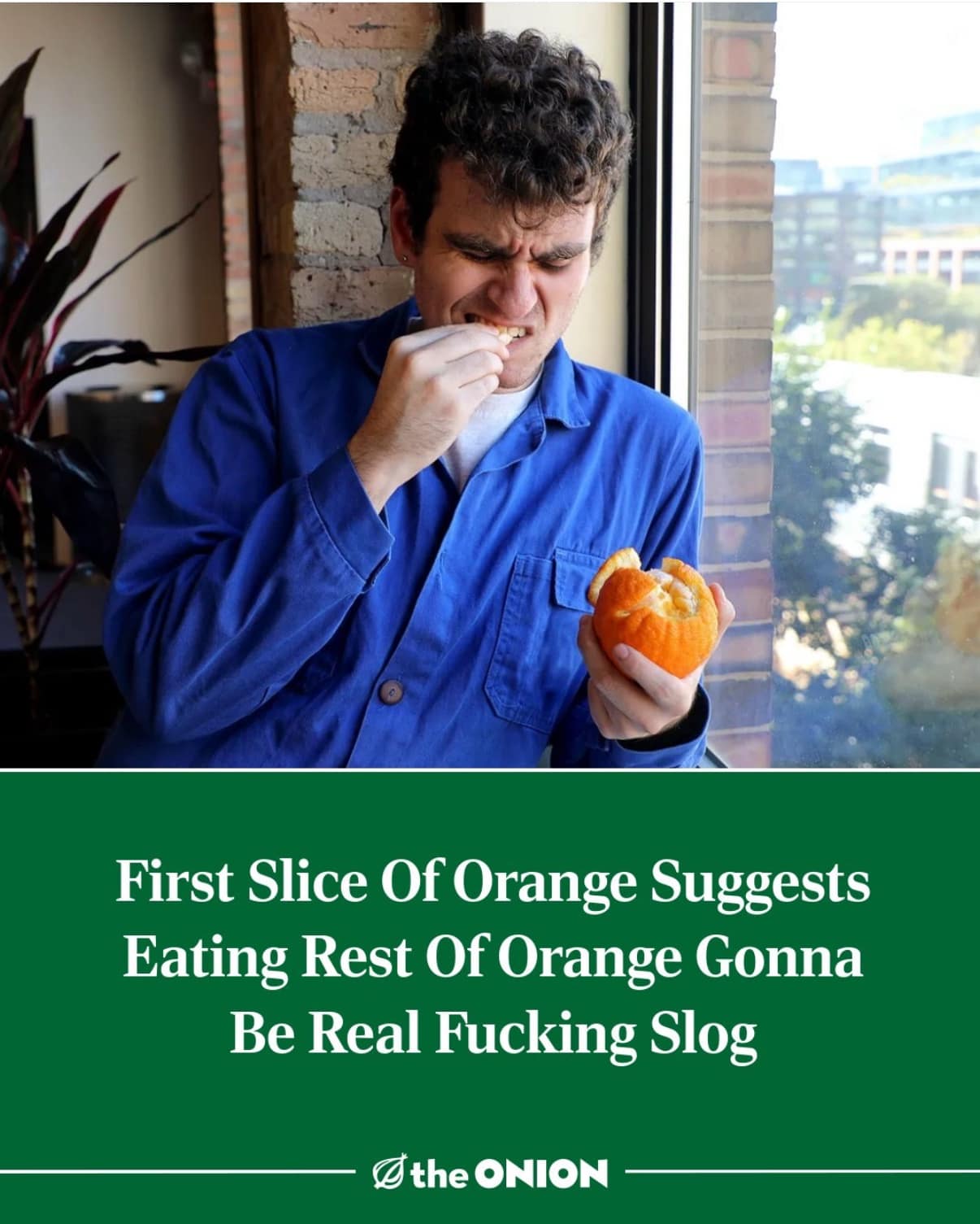A funny headline from The Onion about the disappointing experience of eating a difficult and very dry orange.