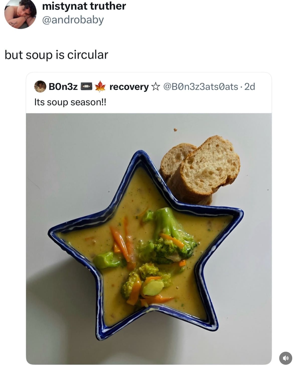 A funny reply to a "soup season" post pointing out that the soup is in a star-shaped bowl, not a circular one.