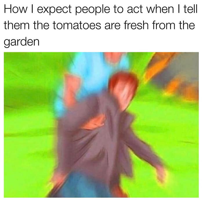 A funny gardening meme about expecting people to be completely amazed by your fresh, homegrown tomatoes from your garden.