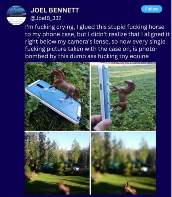 A hilarious DIY fail where a toy horse glued to a phone case ends up photobombing every single picture.