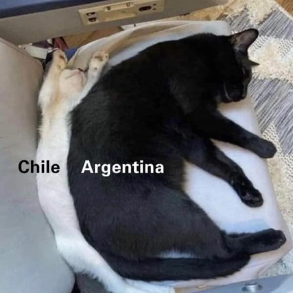 A funny geography meme using a small white cat and a large black cat to represent the countries of Chile and Argentina.