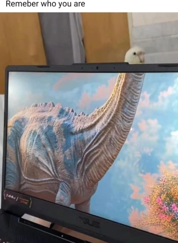 A wholesome and funny photo of a small pet bird who is peeking over the top of a laptop screen, which is displaying a picture of a giant dinosaur, with the caption "Remember who you are."