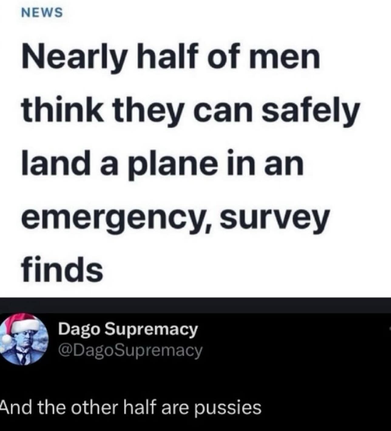 A funny and savage tweet responding to a survey about men who think they can land a plane.