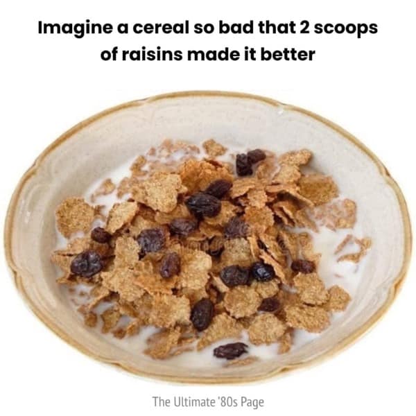 A funny picture that hilariously roasts Raisin Bran cereal by suggesting the bran flakes are terrible on their own.
