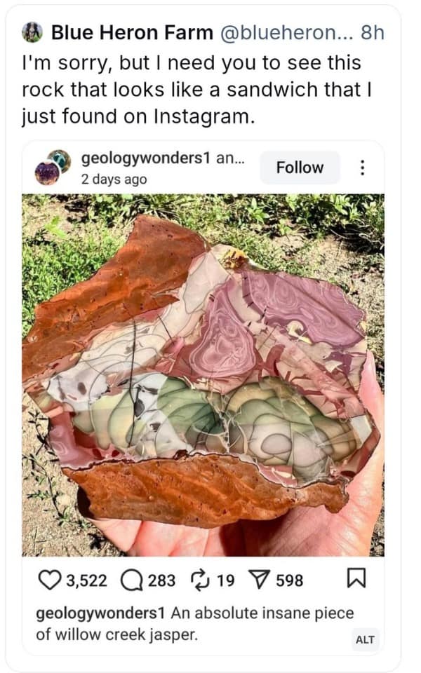 A tweet sharing an incredible photo of a piece of Willow Creek Jasper that looks almost exactly like a delicious and freshly made deli sandwich.