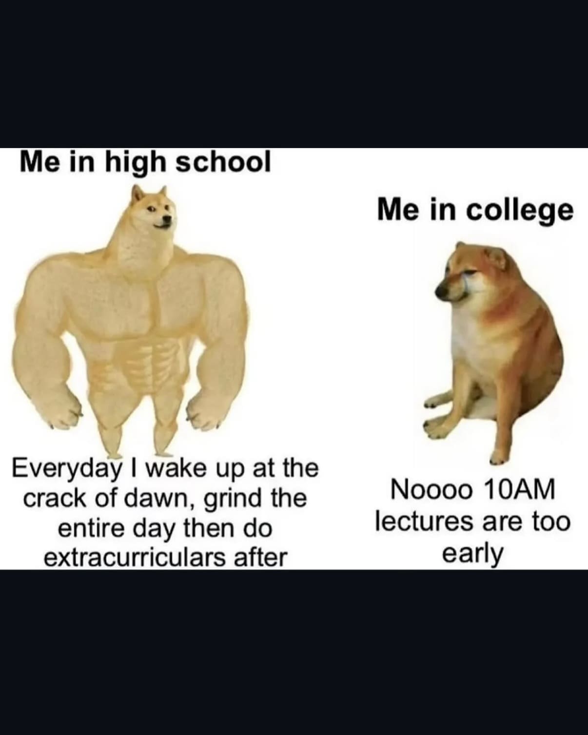 The Swole Doge vs Cheems meme format used to compare the energy levels of high school versus college students.