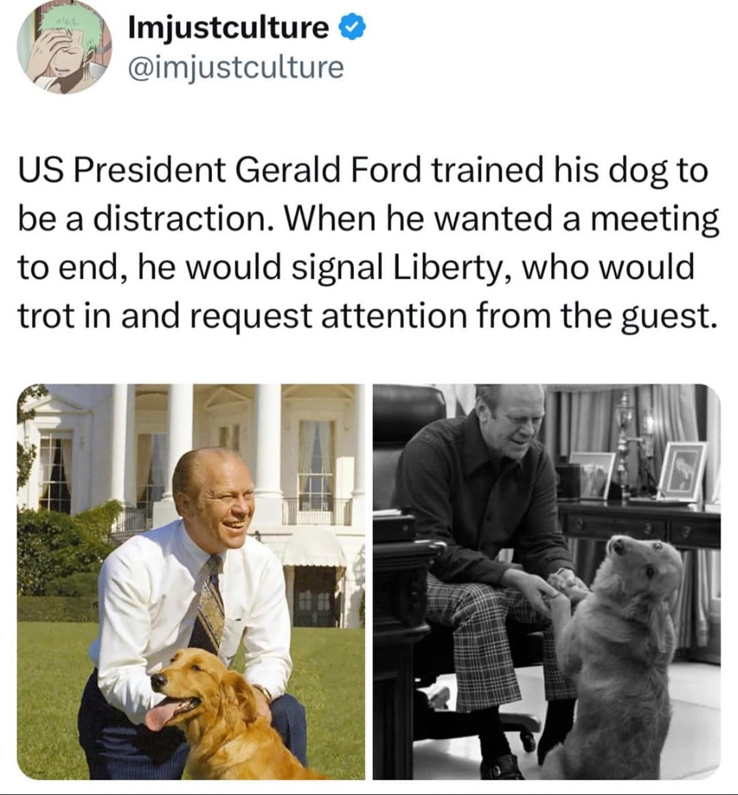 A wholesome and funny historical fun fact about the former U.S. President Gerald Ford, who had trained his golden retriever, Liberty, to be a cute distraction in order to end his meetings.