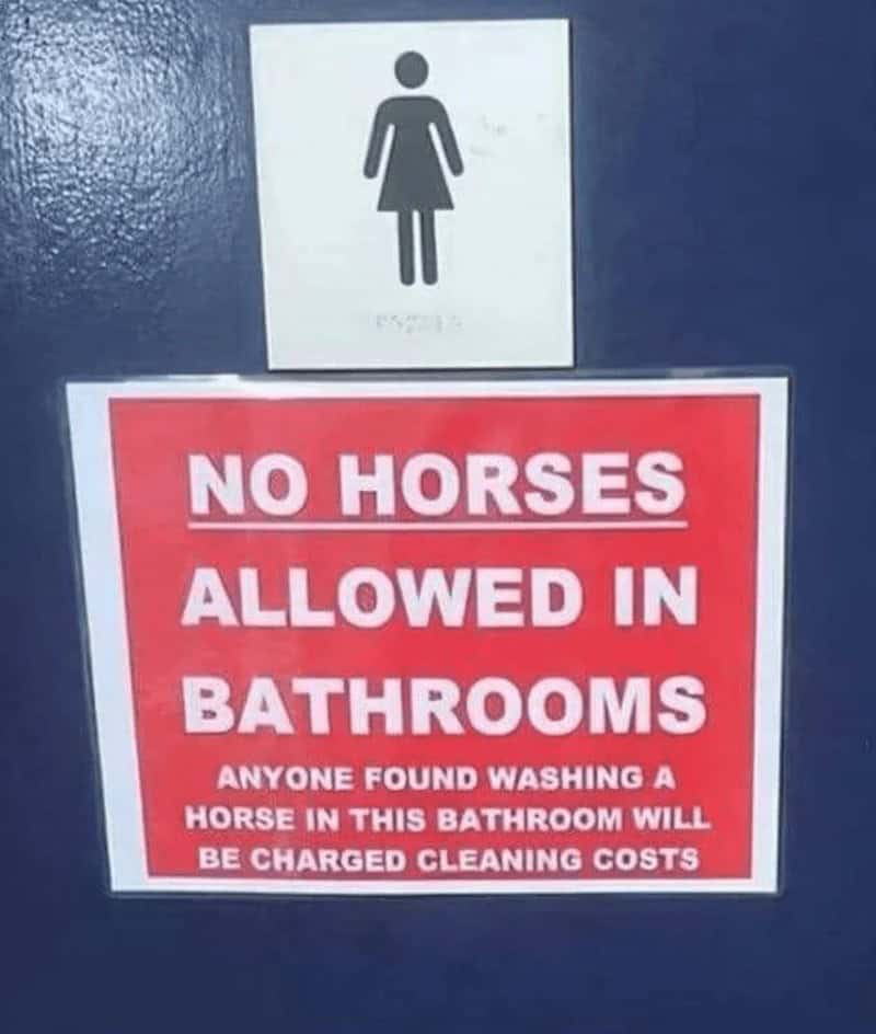 A funny sign at a public restroom that specifically bans people from washing horses in the bathroom.