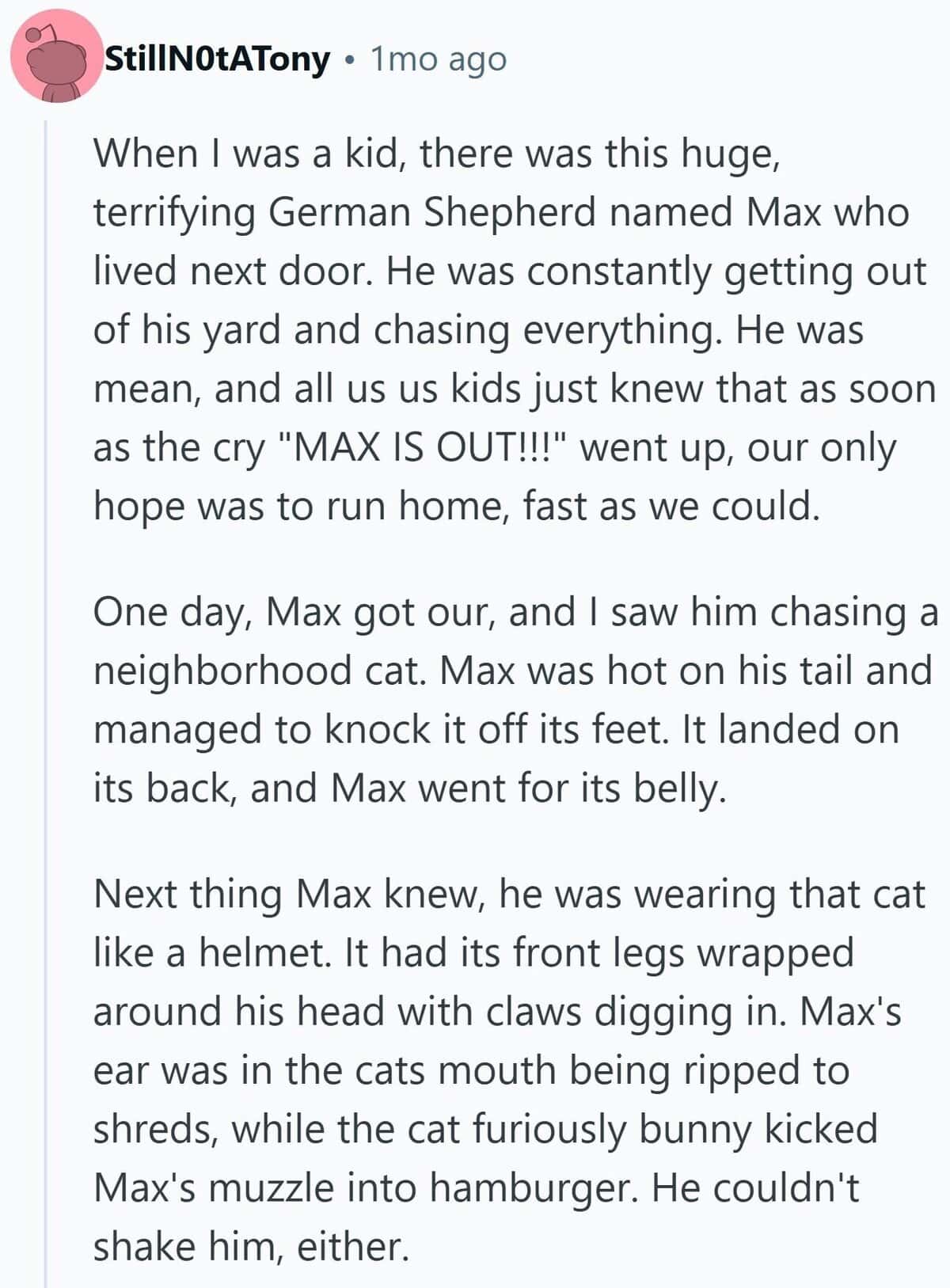 A story about a time a trash talker (a dog) regretted messing with a neighborhood cat.