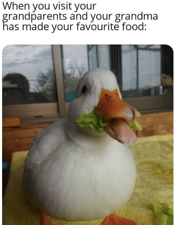 A wholesome grandma meme with a happy duck showing the pure joy of grandma making your favorite food.