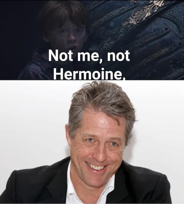 A hilarious and clever visual pun that uses a famous line of dialogue from the character Ron Weasley and a picture of the famous actor Hugh Grant to complete the quote.