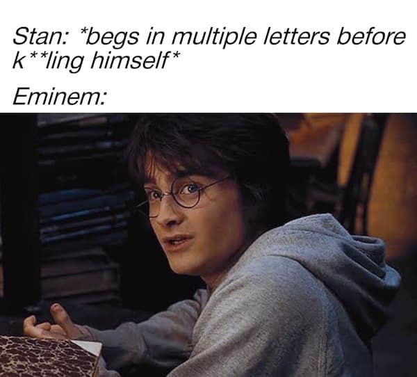 A very specific and niche meme that uses a screenshot of the character Harry Potter to represent the rapper Eminem taking too long to reply to the letters from his obsessive fan, Stan.