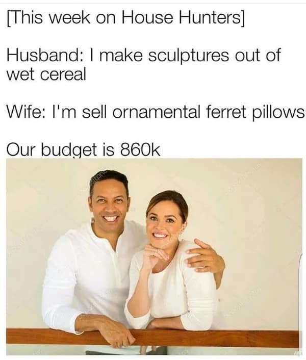 A funny "House Hunters" meme roasting the couples on the show with ridiculous jobs and unbelievably large home budgets.