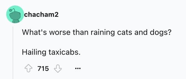 A funny ice breaker joke that asks the classic question, "What's worse than raining cats and dogs?"