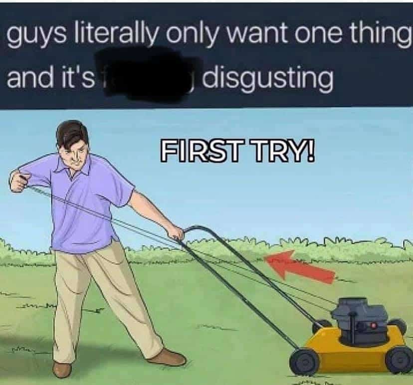 A relatable lawn care meme about the simple satisfaction of a lawn mower starting on the first pull.