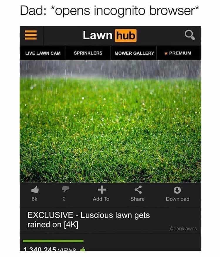 A classic dad joke lawn care meme featuring "Lawn Hub," a parody website for lawn enthusiasts.