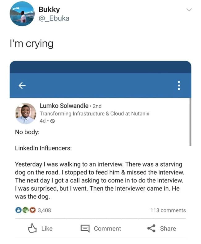 A screenshot of a hilarious parody of a LinkedIn influencer story where the interviewer for a job turns out to be the dog the man just saved.
