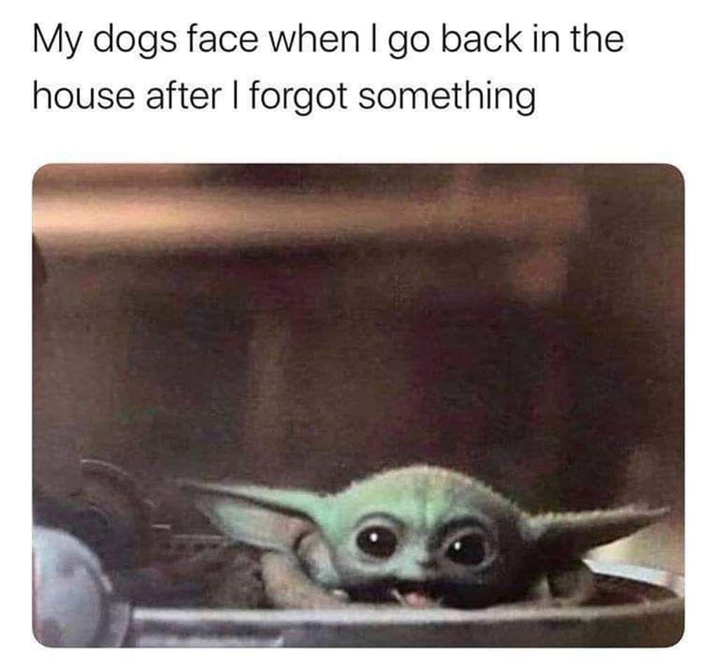 A Mandalorian and Grogu meme using a cute picture of Grogu to show a dog's excited face.
