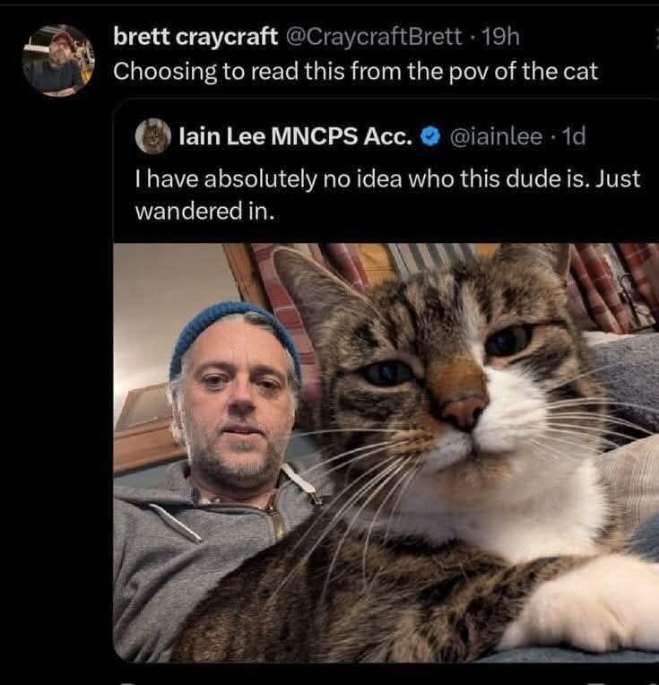 A funny meme where a user suggests reading a man's cat photo from the cat's point of view, making it ten times funnier.