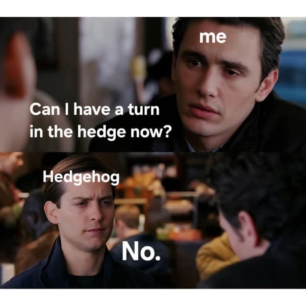 A meme dump using a scene from Spider-Man to make a surreal joke about a hedgehog.
