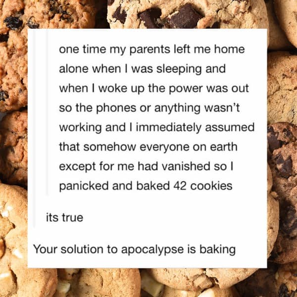A meme dump post about someone panicking during a power outage and baking 42 cookies.