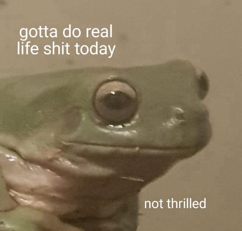 A meme dump of a sad frog with the caption "gotta do real life stuff today, not thrilled."